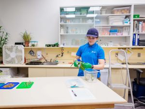 A young woman wearing gloves works in a lab at a butterfly conservatory.