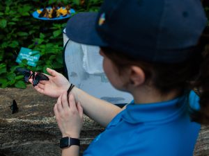 A young woman in a baseball cap holds out her hand for a butterfly to rest on it.