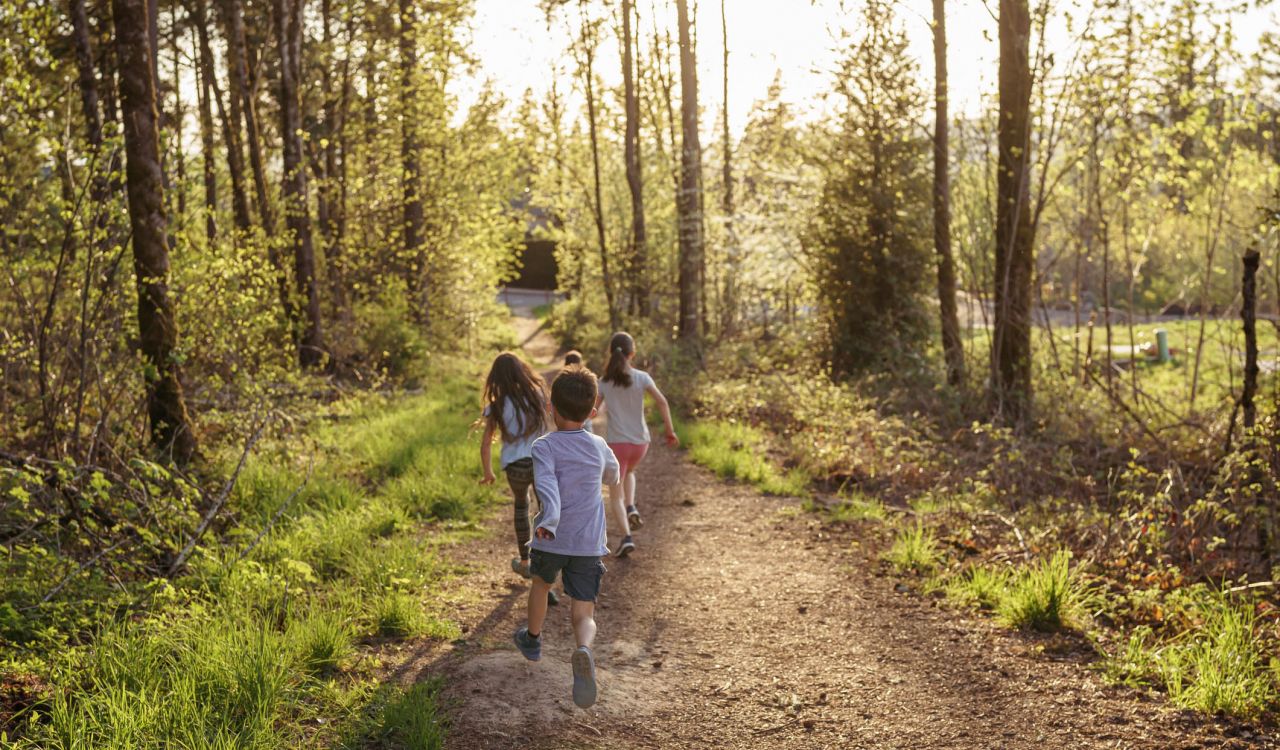 Three children run on a forest path on a summer day.