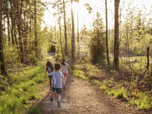 Three children run on a forest path on a summer day.