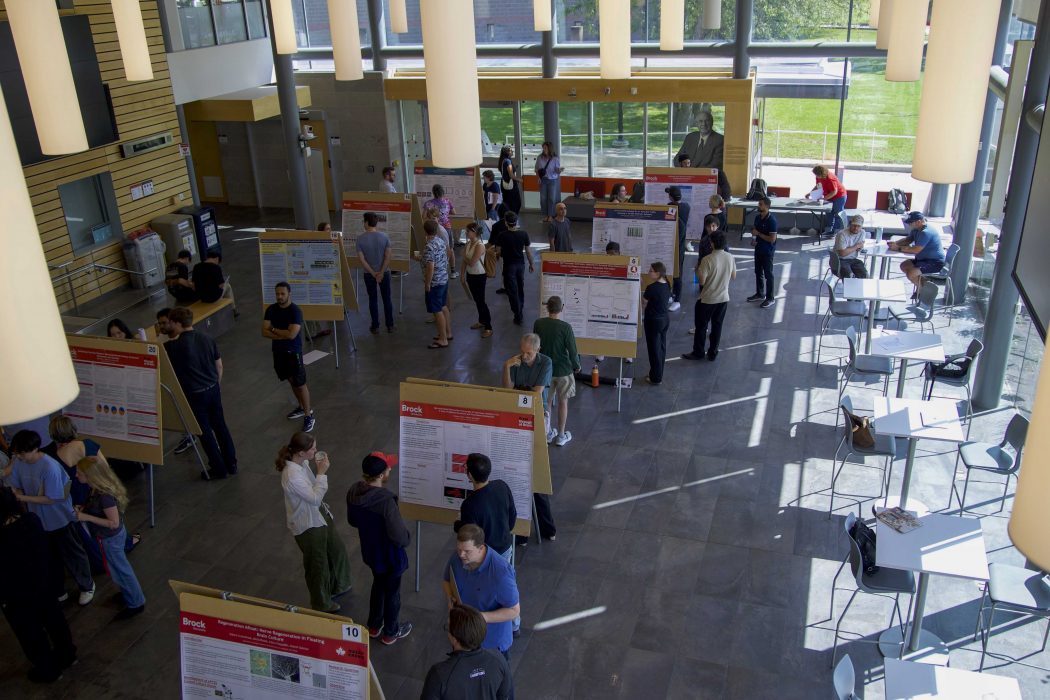 People, seen from above, chat at and look at research posters at a Brock University event.