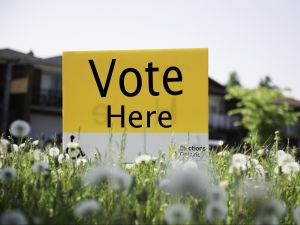A yellow and white "Vote Here" sign in the grass outside a building.