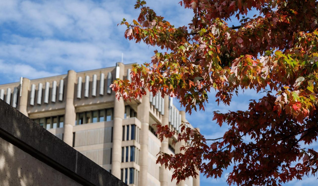 Brock University’s Schmon Tower is set against a blue sky with white clouds. In the foreground, branches of a tree with leaves turned red in autumn frame the tower.