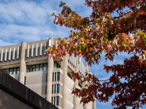 Brock University’s Schmon Tower is set against a blue sky with white clouds. In the foreground, branches of a tree with leaves turned red in autumn frame the tower.