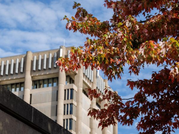 Brock University’s Schmon Tower is set against a blue sky with white clouds. In the foreground, branches of a tree with leaves turned red in autumn frame the tower.