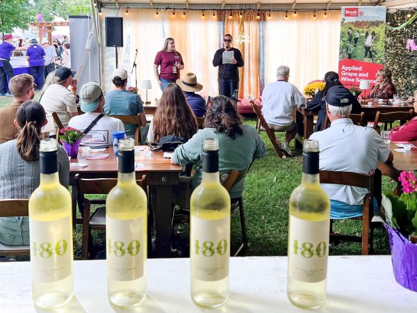 An audience of people listens to two women speaking from the front of an event at a wine festival.