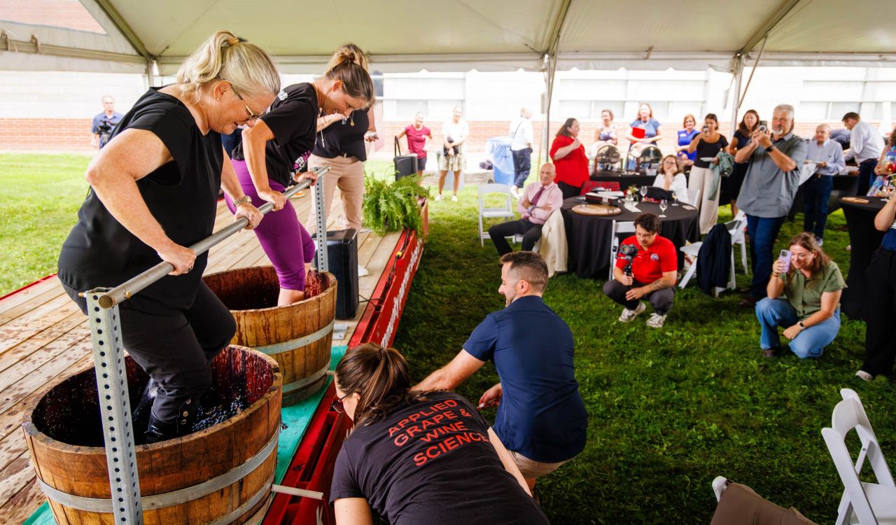 Two women stomp grapes in barrels in front of guests at a wine industry event.