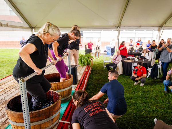 Two women stomp grapes in barrels in front of guests at a wine industry event.
