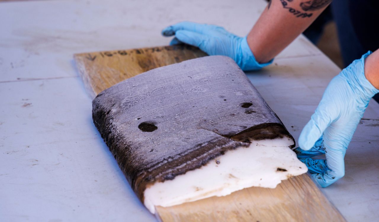 A frozen slab of dark-brown mud sits on a table, with a pair of hands wearing blue gloves holding it up.
