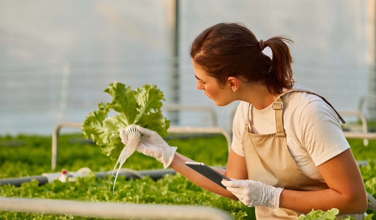A woman holding a tablet looks at a plant in a greenhouse.