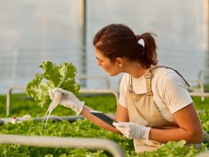 A woman holding a tablet looks at a plant in a greenhouse.