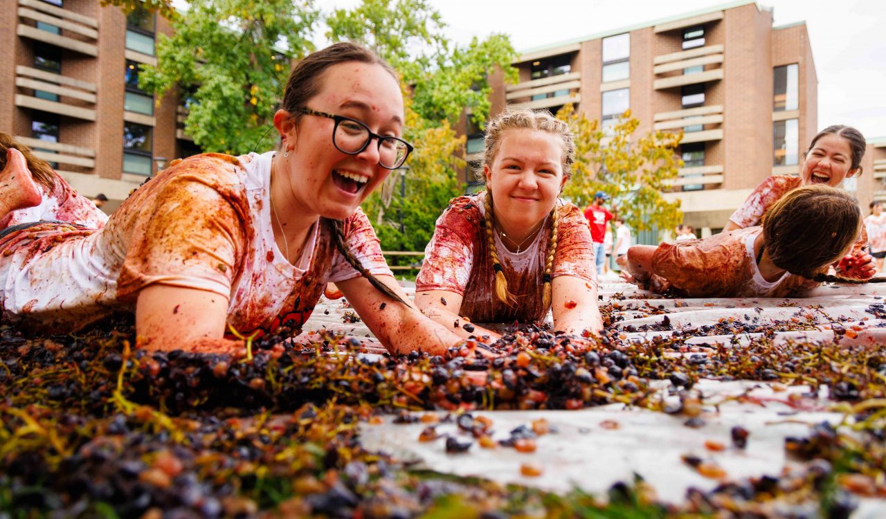 Four women wearing white shirts covered in squashed grapes laugh and smile as they slide on their bellies across a plastic tarp with concord grapes set up outdoors.
