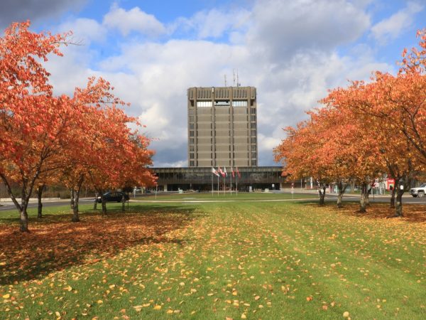 The Schmon Tower with fall trees in front of it.
