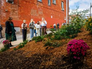 People stand beside a garden.