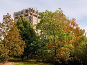 Trees in front of the Schmon Tower at Brock University.