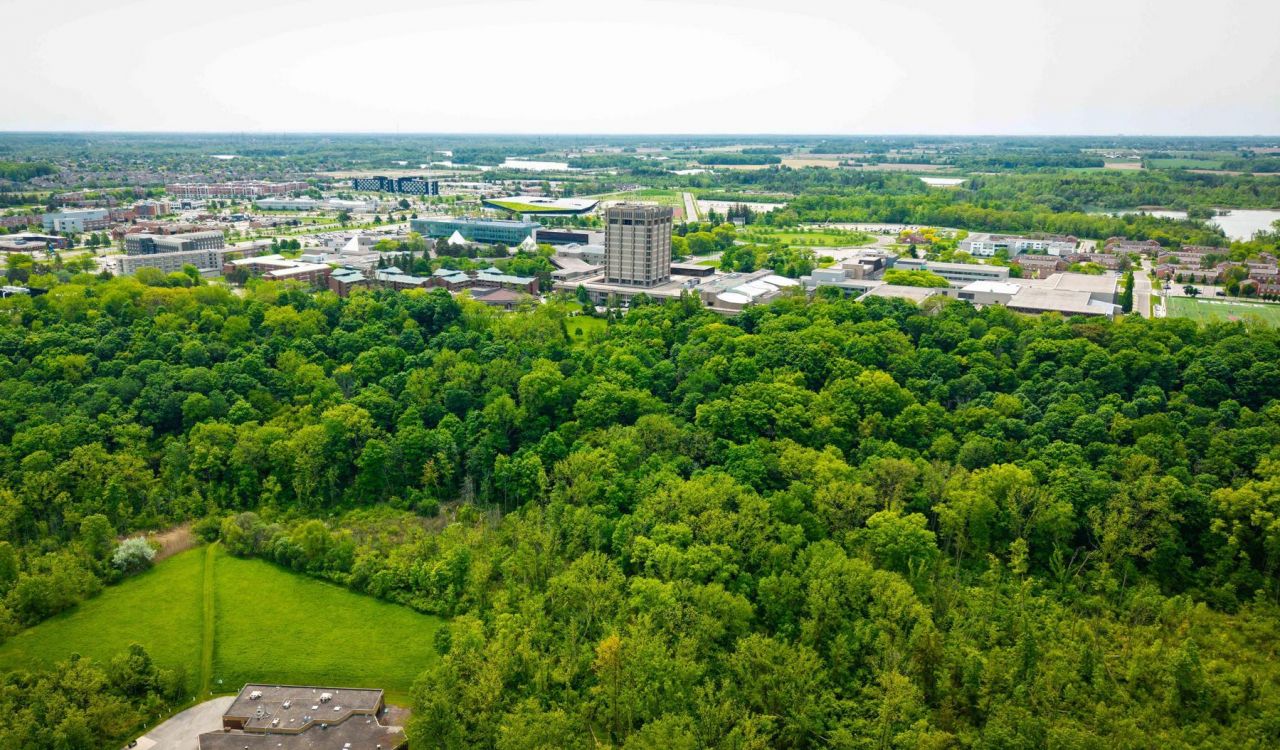 An aerial view of Brock University's main campus on a sunny day.