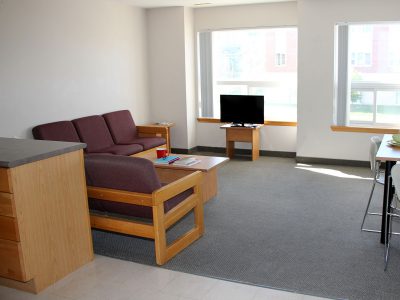 Living room and dining area in Quarry View apartment