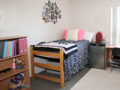 Single bedroom in Quarry View apartment, featuring bed, desk, mini fridge, bookcase and dresser