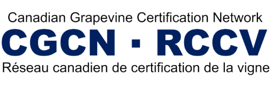 CGCN-RCCV logo