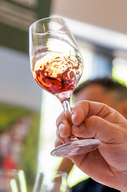 Wine Glass Swirling before tasting