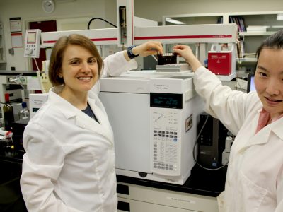 Our facility- analytical services