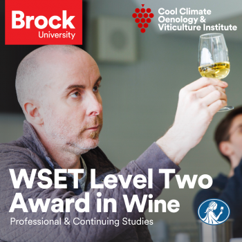 WSET Level 2 ad
