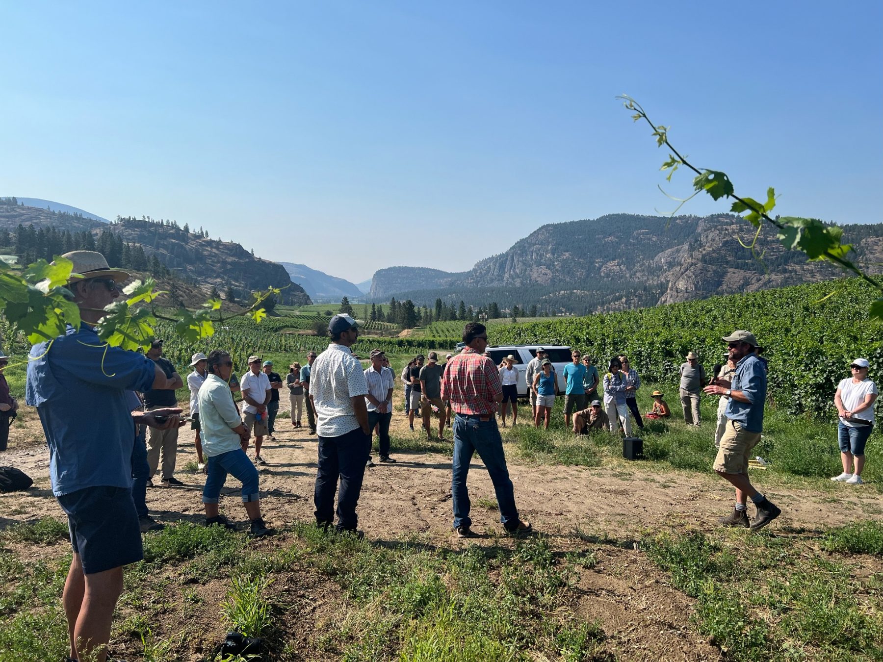 Image of people listening to a lecture in a vineyard in the mountains