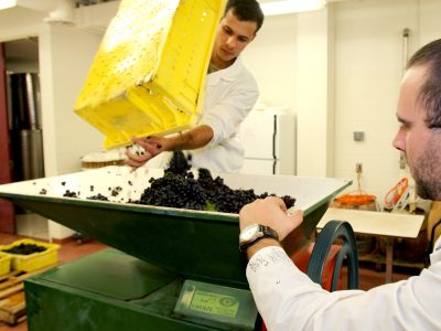 our facility - teaching winery