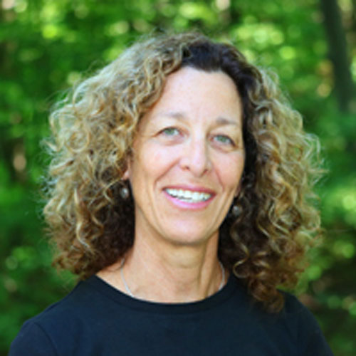 Headshot of Dr. Bareket Falk
