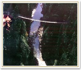 Source: www.capbridge.com 