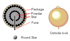 X Section