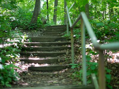 stairs on a path with a wooden handrail