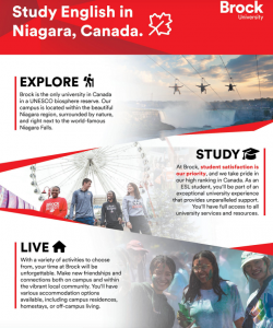 graphic of first page of brochure