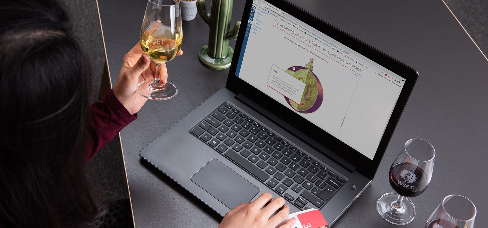 person in front of laptop holding tasting wine glass inspecting contents