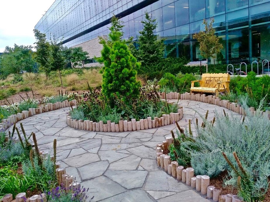 indigenous garden space with trees and plant in front of building 