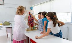 Students learning science with teacher.