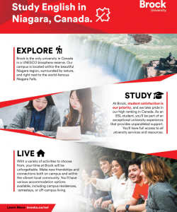 graphic of cover image of brochure