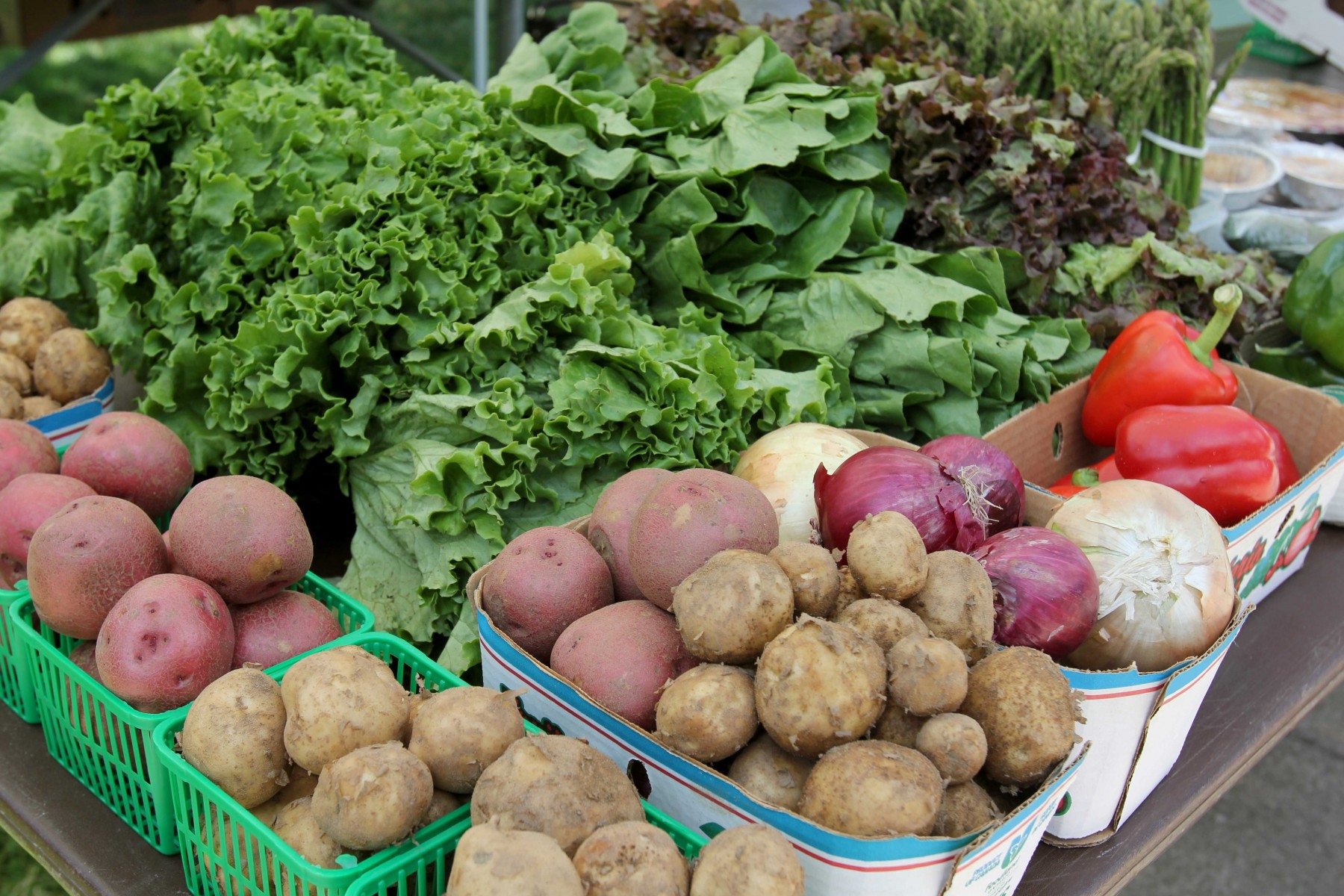 Root vegetables and lettuce on Farmer's Market table