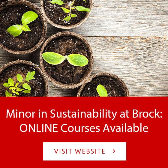 Apply Online - Minor Courses
