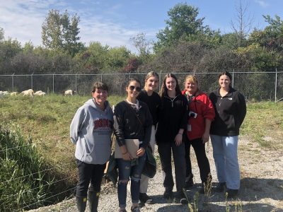 A group of six people standing near a field with goats in the background.