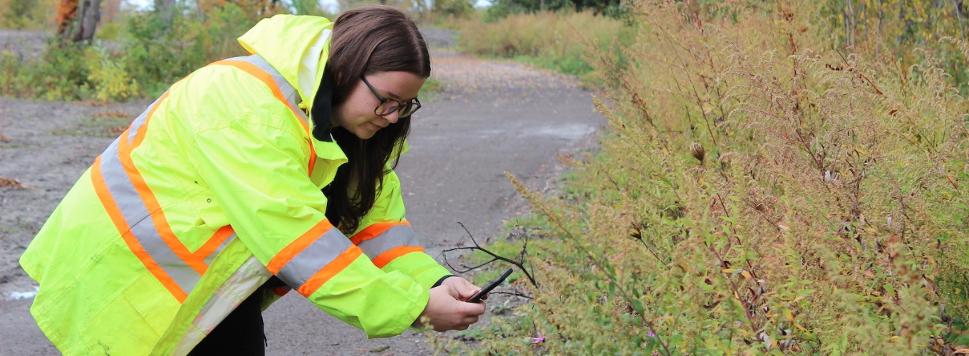 A person in a yellow neon vest leans over some plants to take a photo with their phone.