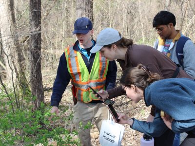 An individual in a neon vest points at plants while three other students take photos with their phones.