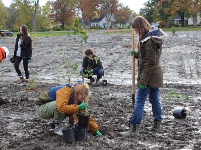 A group of students plants trees in a wetlands area.