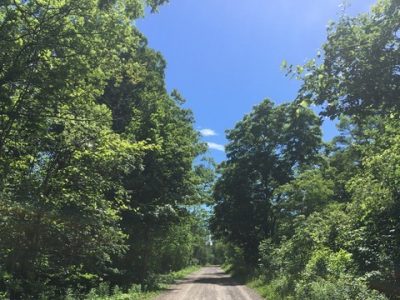 Bruce Trail - Brock University