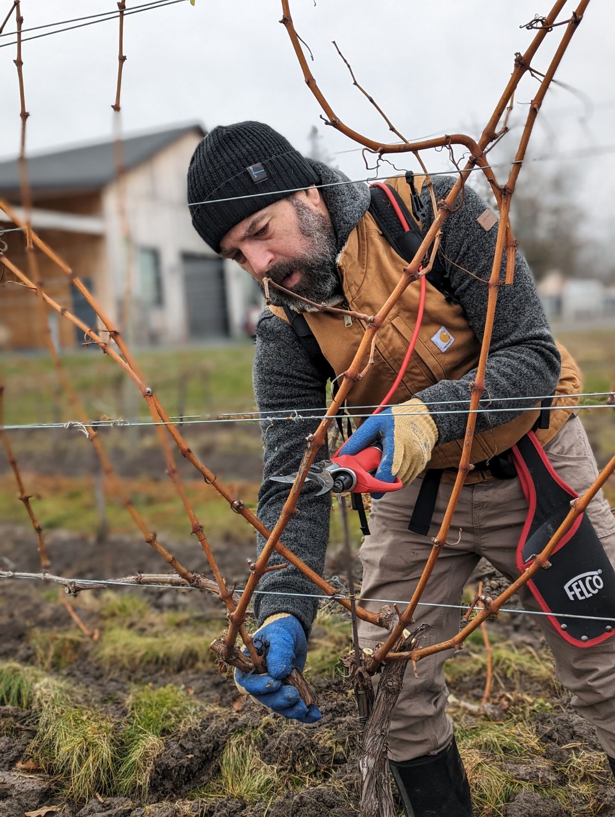 Jonathan McLean Jonathan Mclean trimming branches near fence wire.