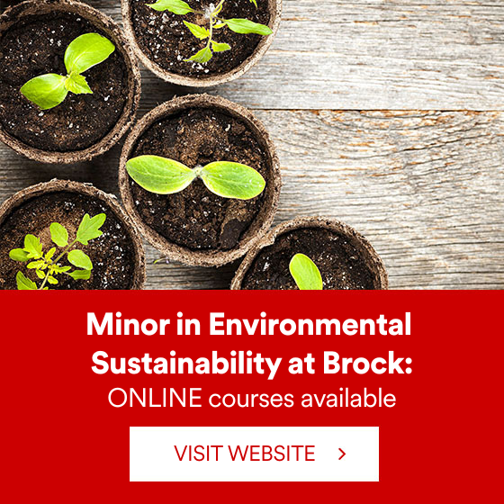 Apply Online - Minor Courses