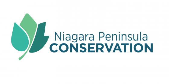 World-Water-Day-Commity-Org-Logos_NPCA-560x280 Niagara Peninsula Conservation Authority logo