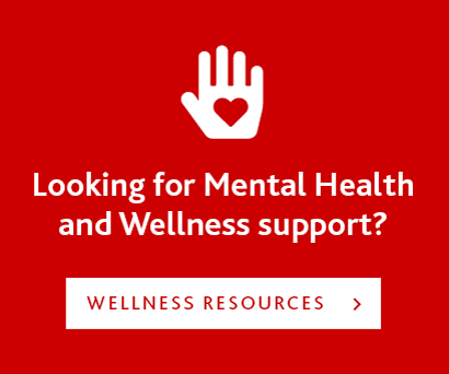 Mental health and wellness support