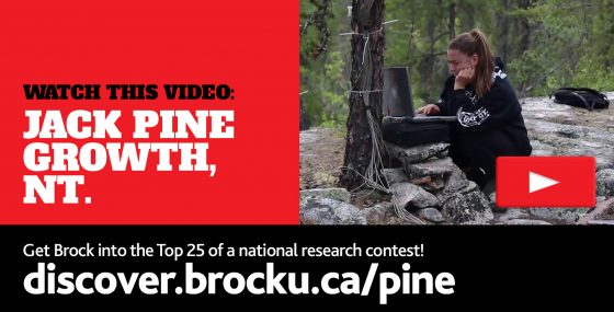 Jack Pine Video 