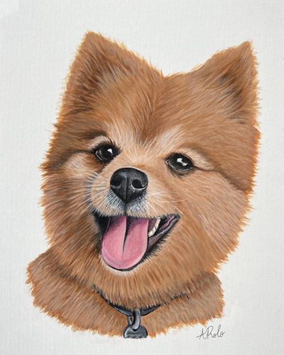 Showcase selection: art of dog